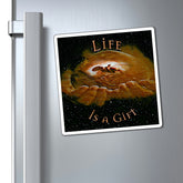 refridgerator magnets