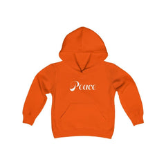 youth hoodie