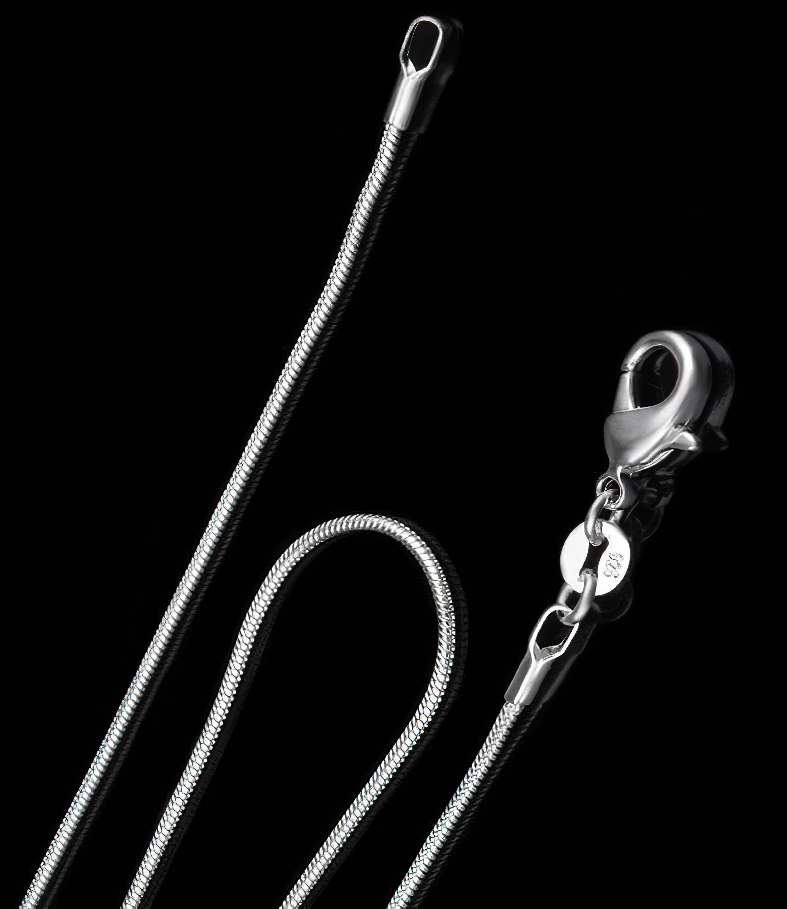 Snake Chain Necklace (4521511485534)