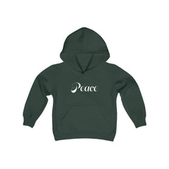 youth hoodie