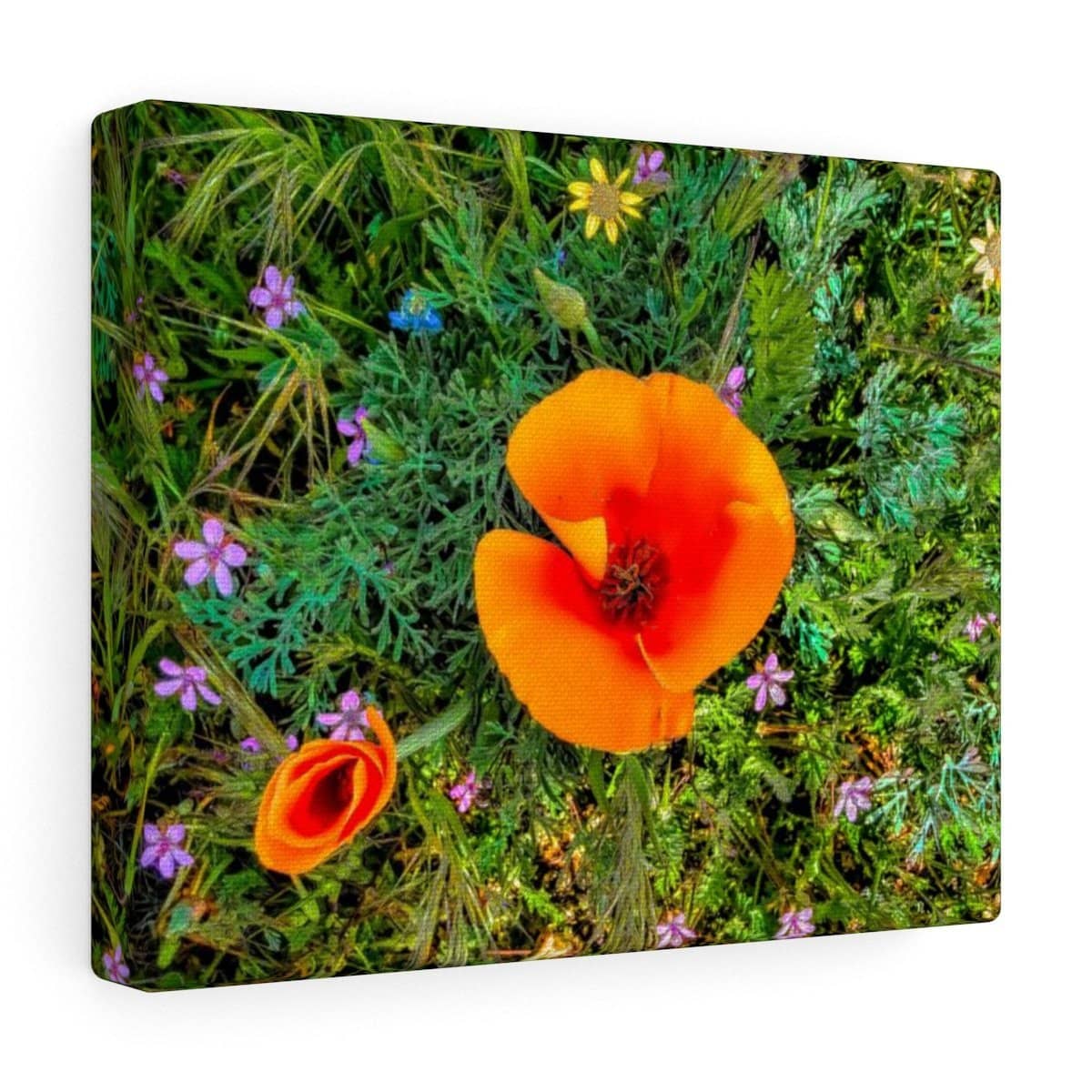 Canvas Gallery Wraps "Two Poppies" (3256910217316)