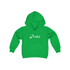 youth hoodie