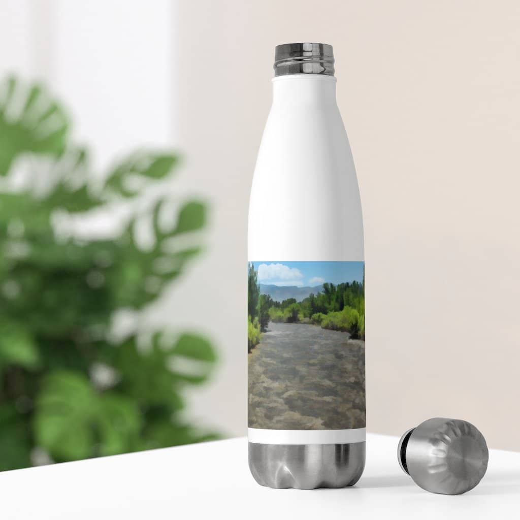 Insulated Bottle