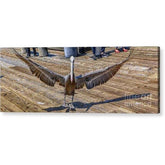 Acrylic Print It Was This Big Acrylic Print (2840704122980)