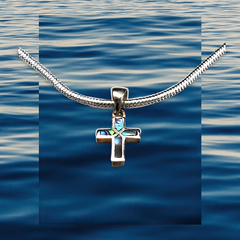 abalone cross