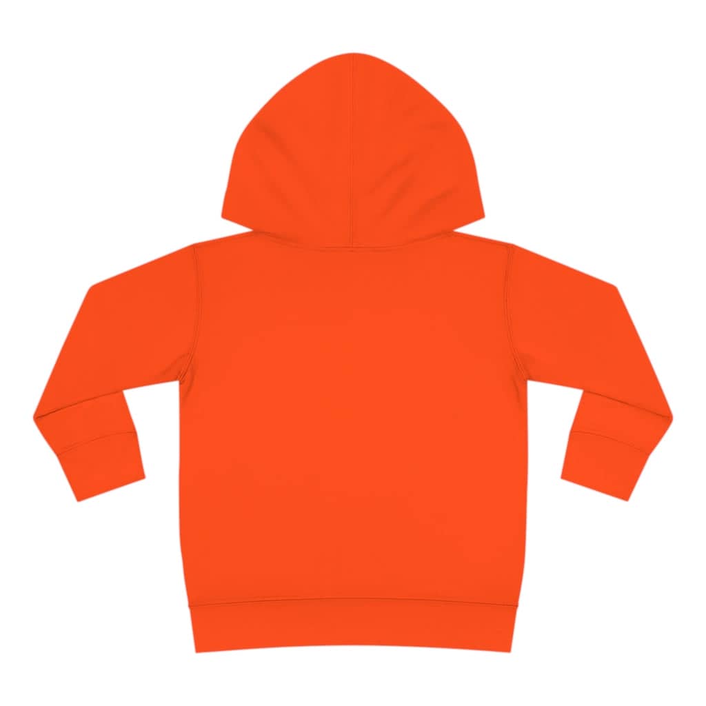 toddler hoodie