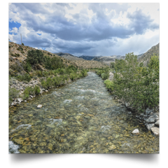 Satin Poster Square West Walker River White / 16 x 16 Poster (2724410556516)
