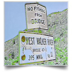 Satin Poster No Fishing! (Green theme) Satin Poster No Fishing! (Green theme) / White / 16 x 16 Poster (2137125978212)