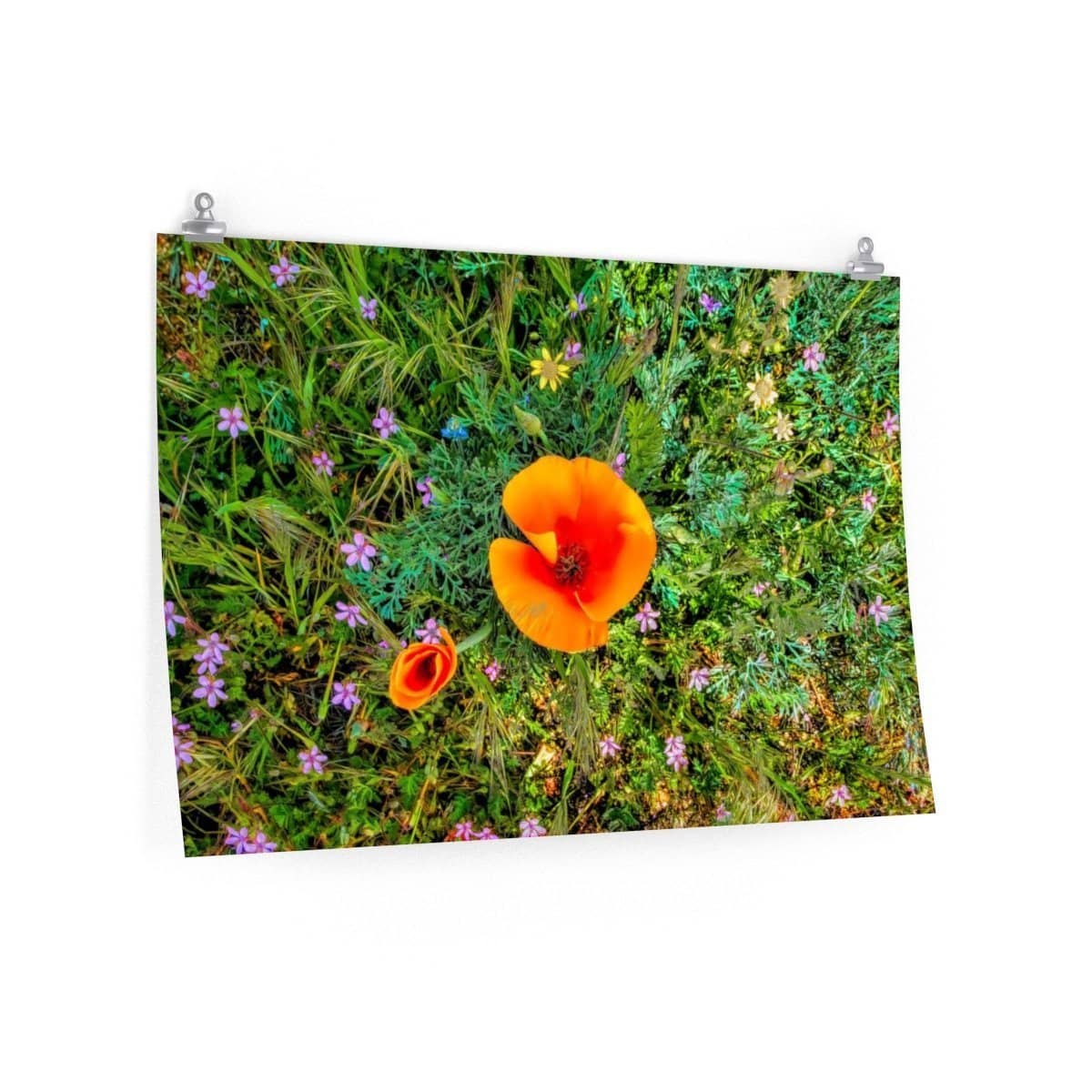 Premium Matte Poster Two Poppies Poster (3256736809060)