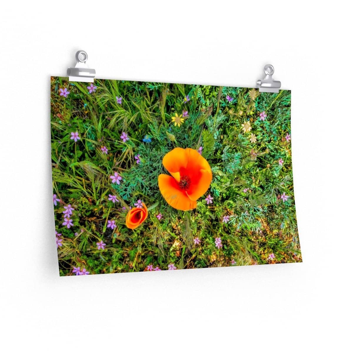 Premium Matte Poster Two Poppies Poster (3256736809060)