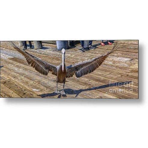 Metal Print It Was This Big 20.000 x 7.250 Metal Print (2840703795300)