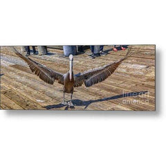 Metal Print It Was This Big 20.000 x 7.250 Metal Print (2840703795300)