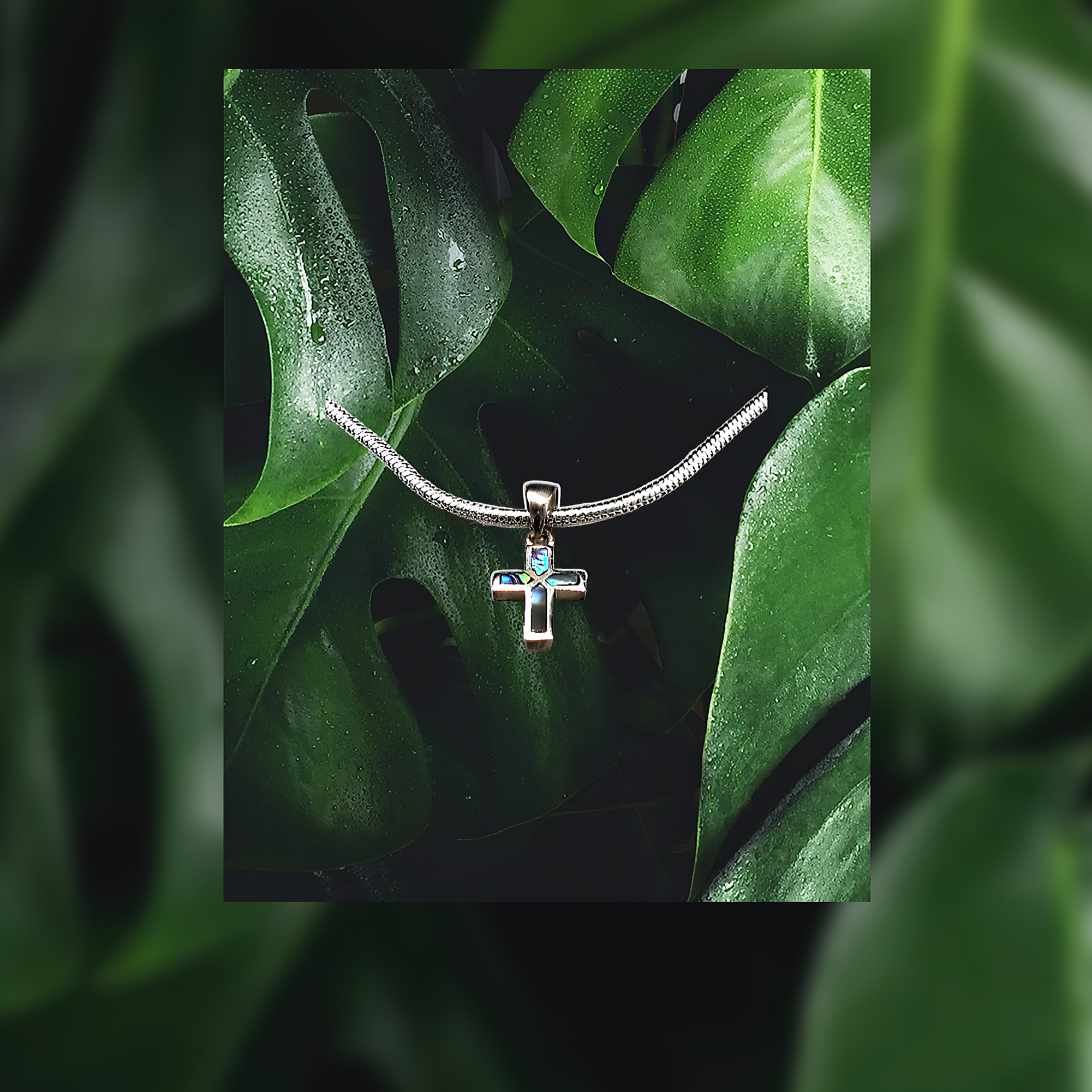 abalone cross