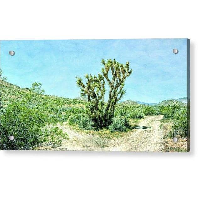 Acrylic Print The Joshua Tree 12.000 x 6.250 / Aluminum Mounting Posts Acrylic Print (2725134860388)