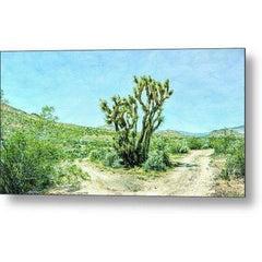 Metal Print The Joshua Tree 12.000 x 6.250 Metal Print (2725134598244)