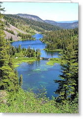 greeting card